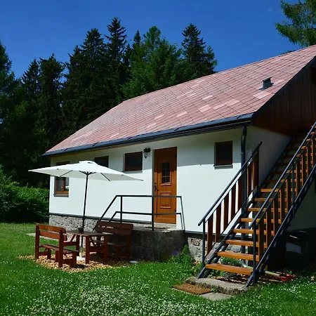 Domek letniskowy Nela Horní Planá